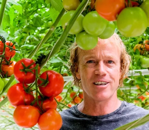 201707-08 Tomaten-zuechten 19